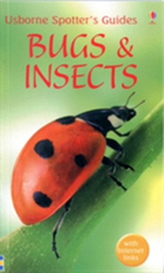 Bugs And Insects Bugs And Insects
