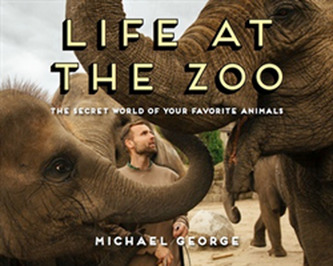 Life at the Zoo