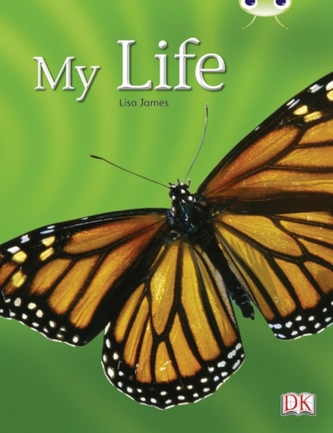BC NF Yellow C/1C My Life