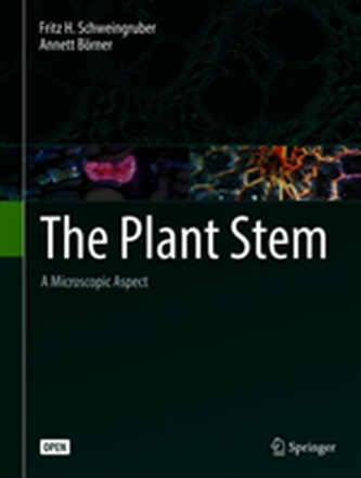 The Plant Stem