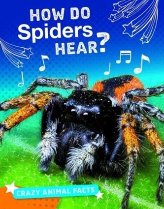 How Do Spiders Hear? How Do Spiders Hear?