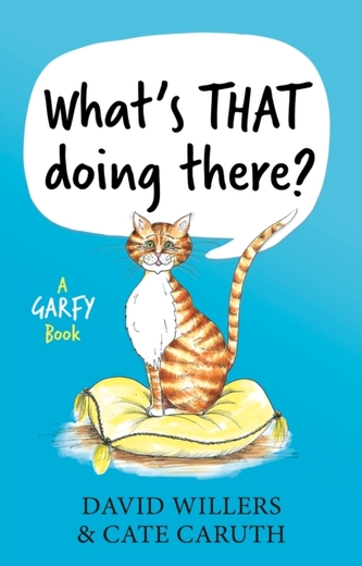 What's THAT doing there?