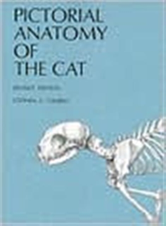 Pictorial Anatomy of the Cat Pictorial Anatomy of the Cat