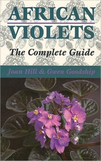 African Violets African Violets