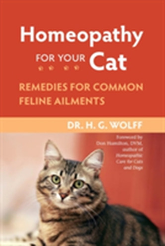 Homeopathy For Cat