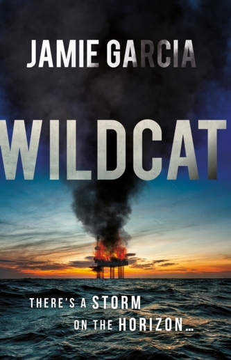Wildcat Wildcat