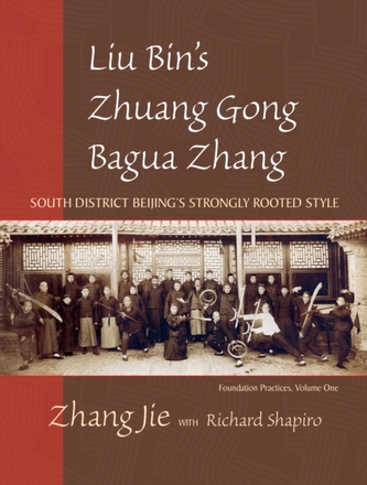 Liu Bin's Bagua