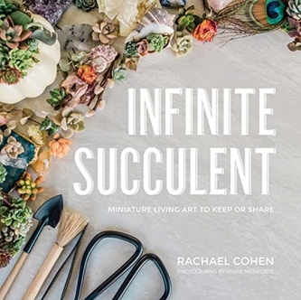 Infinite Succulent - Miniature Living Art to Keep or Share