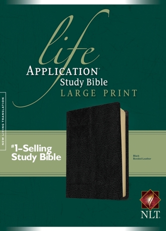 Life Application Study Bible