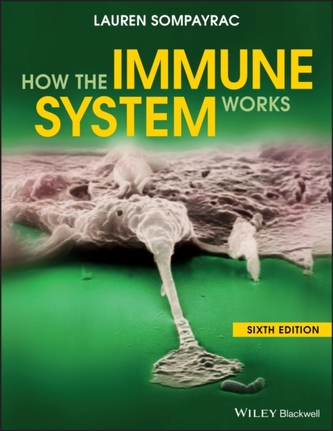 How the Immune System Works