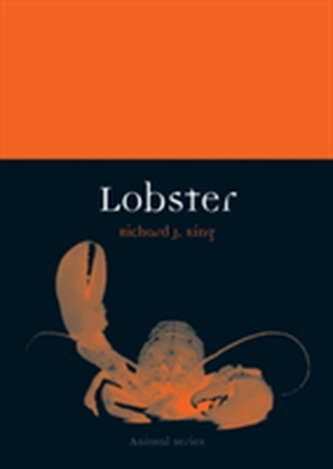Lobster Lobster