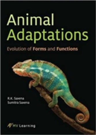 Animal Adaptations Animal Adaptations