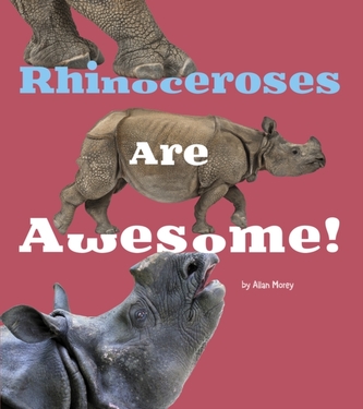 Rhinoceroses Are Awesome!