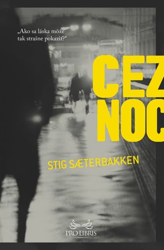 Cez noc (Stig Sæterbakken, 2014)