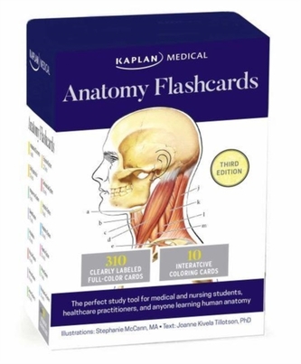 Anatomy Flashcards