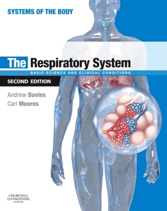 The Respiratory System The Respiratory System