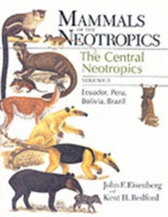 Mammals of the Neotropics