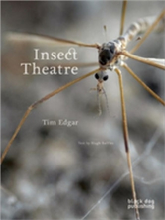 Insect Theatre