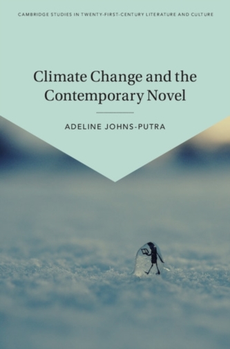 Cambridge Studies in Twenty-First-Century Literature and Culture