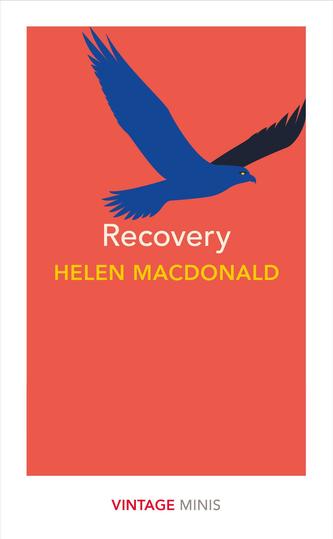 Recovery Recovery