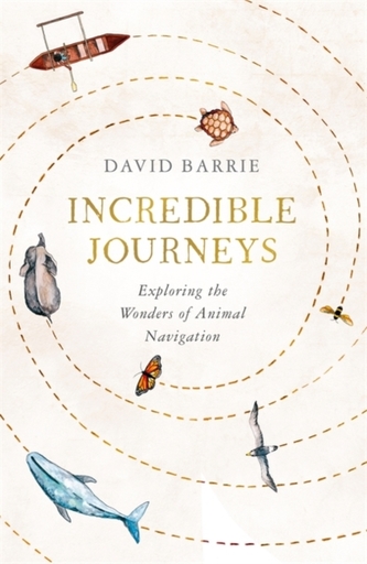 Incredible Journeys Incredible Journeys