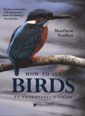 How to See Birds