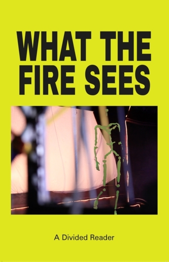 What The Fire Sees