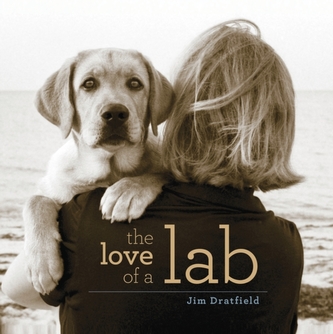The Love of a Lab The Love of a Lab