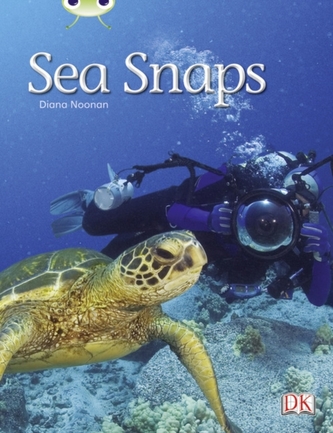 Bug Club Independent Non Fiction Year 1 Green A Sea Snaps Bug Club Independent Non Fiction Year 1 Green A Sea Snaps