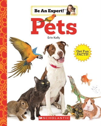 Pets (Be An Expert!)