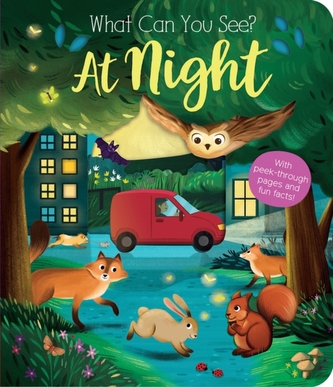 What Can You See? At Night