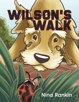 Wilson's Walk Wilson's Walk