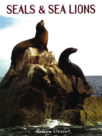 Seals and Sea Lions
