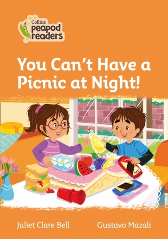 Level 4 - You Can't Have a Picnic at Night! Level 4 - You Can't Have a Picnic at Night!