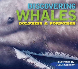 Discovering Whales, Dolphins and Porpoises Discovering Whales, Dolphins and Porpoises