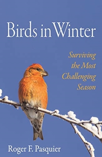 Birds in Winter Birds in Winter