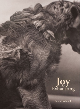 Joy Is So Exhausting Joy Is So Exhausting