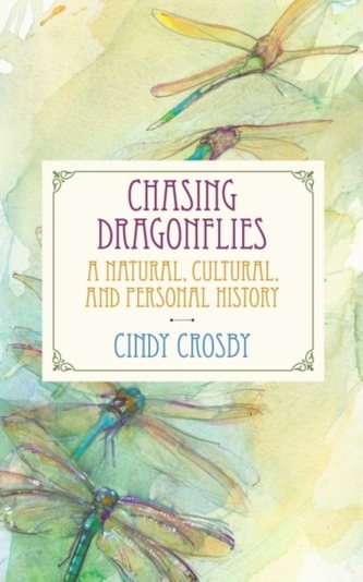 Chasing Dragonflies Chasing Dragonflies
