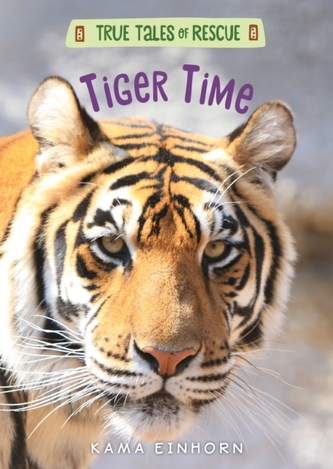 Tiger Time Tiger Time