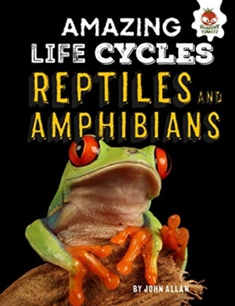 Reptiles and Amphibians - Amazing Life Cycles Reptiles and Amphibians - Amazing Life Cycles