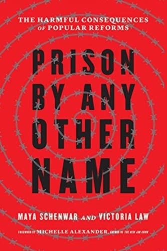 Prison by Any Other Name Prison by Any Other Name