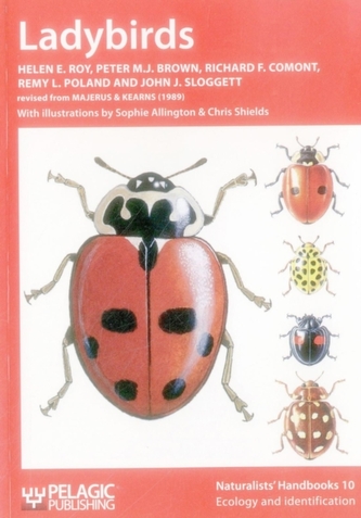 Ladybirds Ladybirds