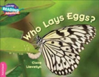 Who Lays Eggs? Pink B Band