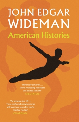 American Histories American Histories