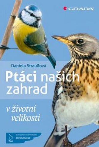 Ptáci našich zahrad v životní velikosti - Daniela Strauß