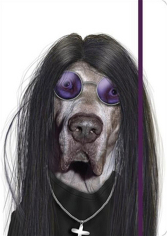 Notes s gumičkou Ozzy