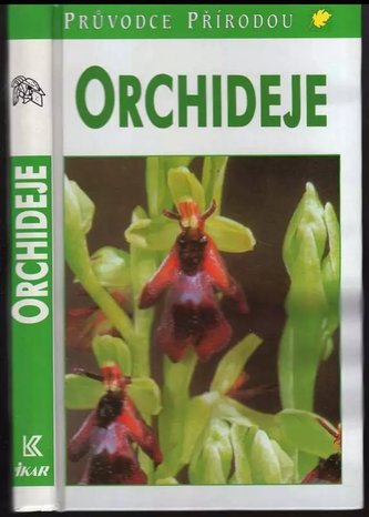 Orchideje