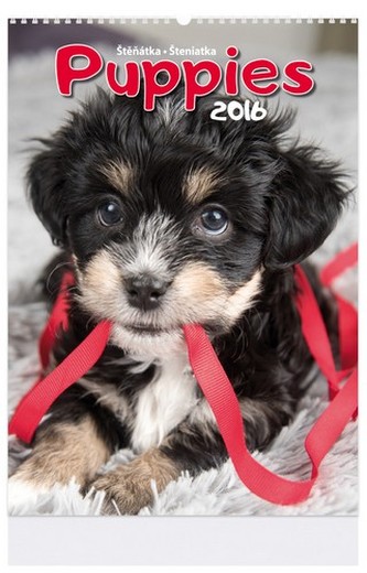 Puppies - nástenný kalendář 2016