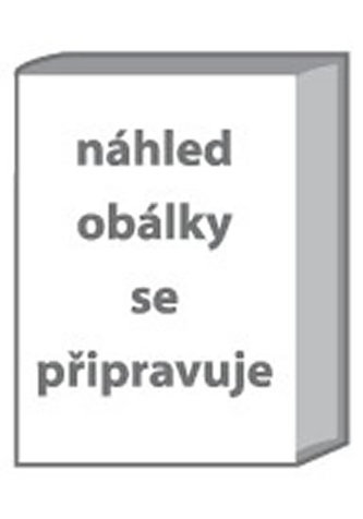 SLAVIA - dárková taška, střední