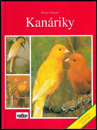 Kanáriky